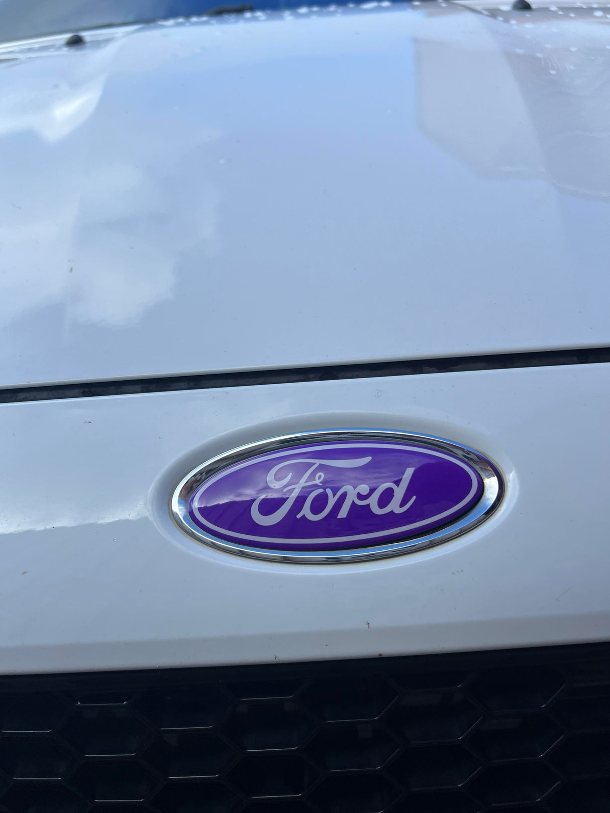 "Oval" Ford Gel Badge Overlays - Mk7.5 Fiesta (Facelift) Including ST