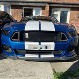 Mustang Coyote Grille Gel Badge