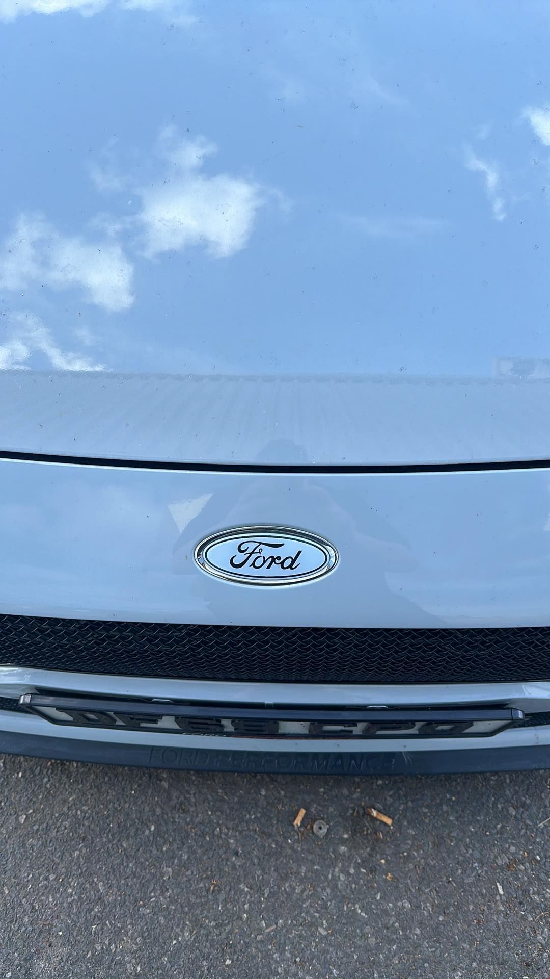 "Oval" Ford Gel Badge Overlays - Mk8 Fiesta