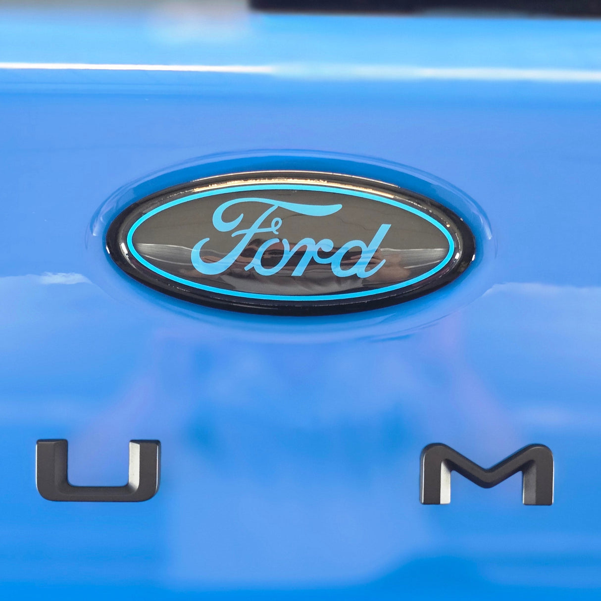 Ford Badge Vinyl Wrap Covers (Pair)